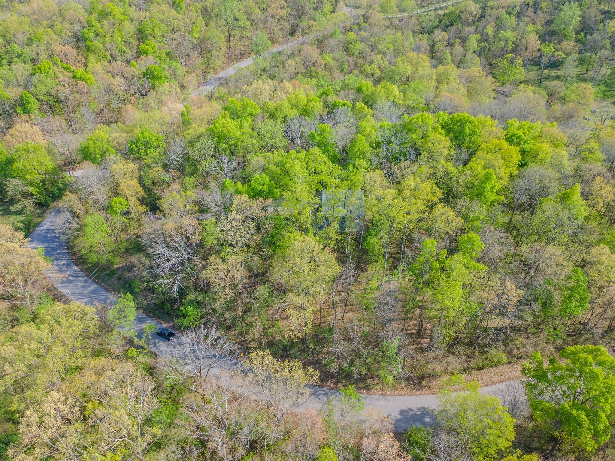 1707 Sugar Ridge Road Spring Hill, TN 37174 - Photo 36 of 38 a view of a forest with a tree