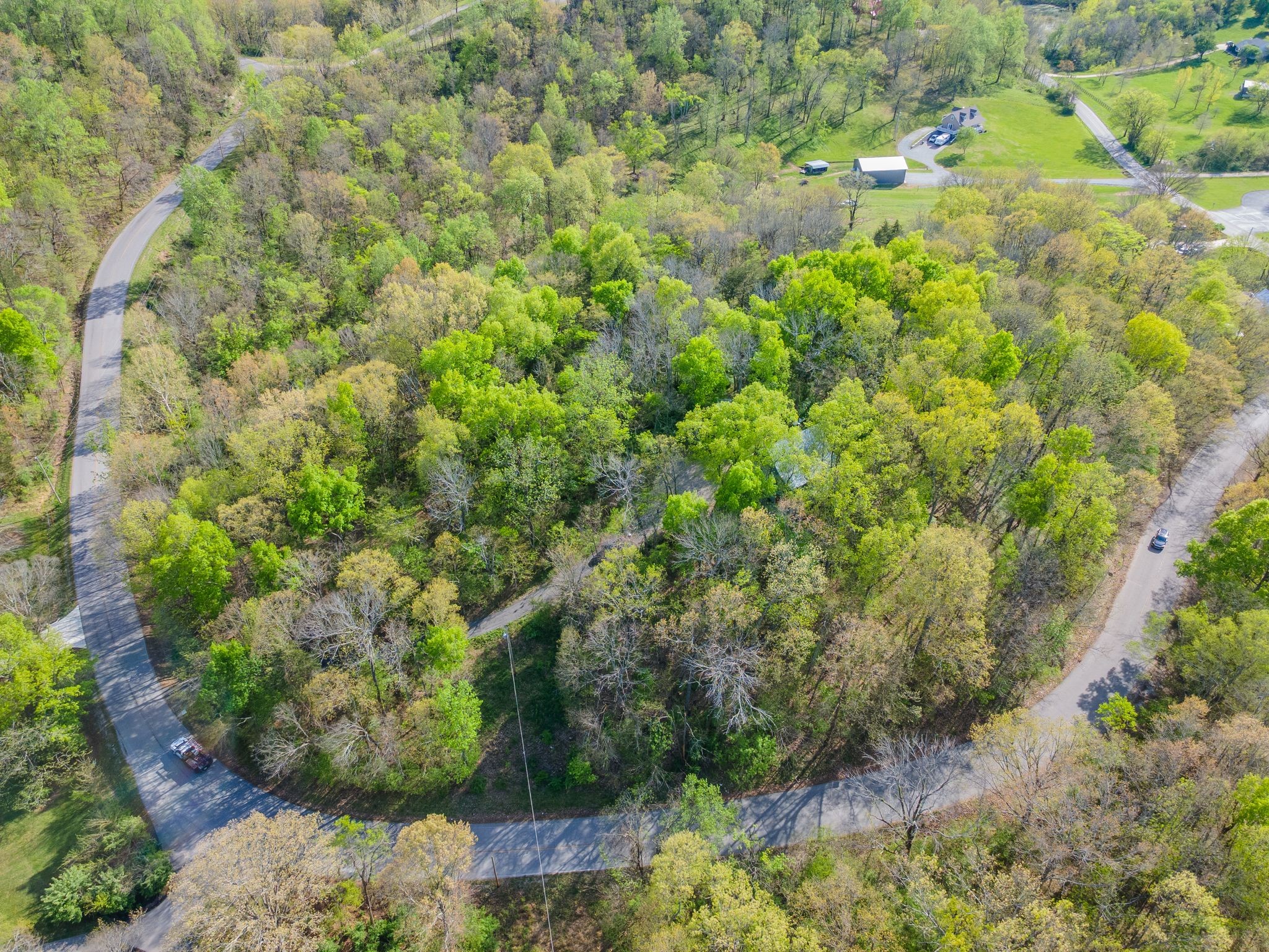 1707 Sugar Ridge Road Spring Hill, TN 37174 - Photo 37 of 38 a view of a garden with a tree