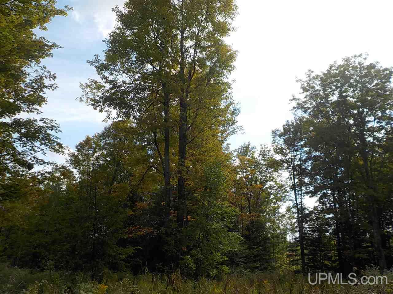 80-ac Mcclaren Road Crystal Falls, MI 49920 - Photo 14 of 27