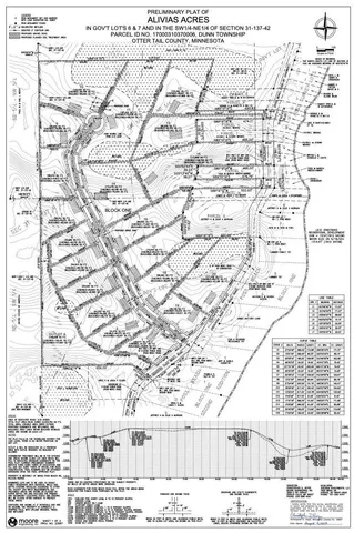 $100,000 | Lot 2-block Alivia's Avenue, Pelican Rapids, MN 56572