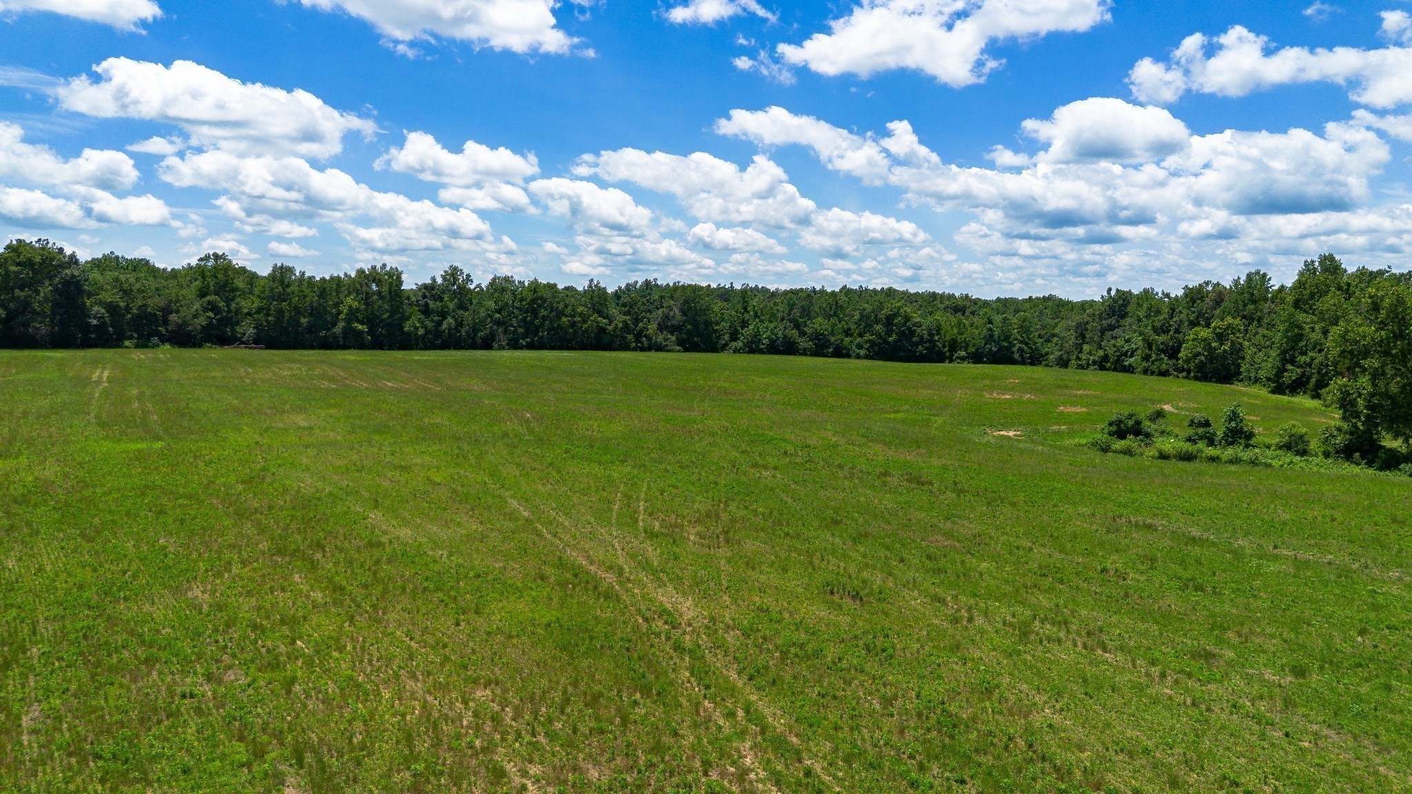 0 Cal Durham Road Bethpage, TN 37022 - Photo 14 of 28 Gallery Image 14