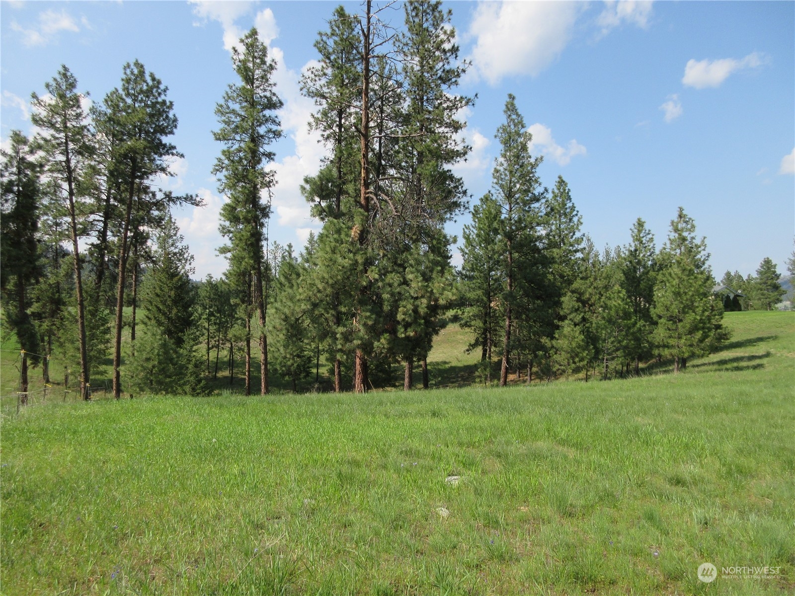 156 West Curlew Lake Road Republic, WA 99166 - Photo 28 of 36 a view of green field with trees in the background