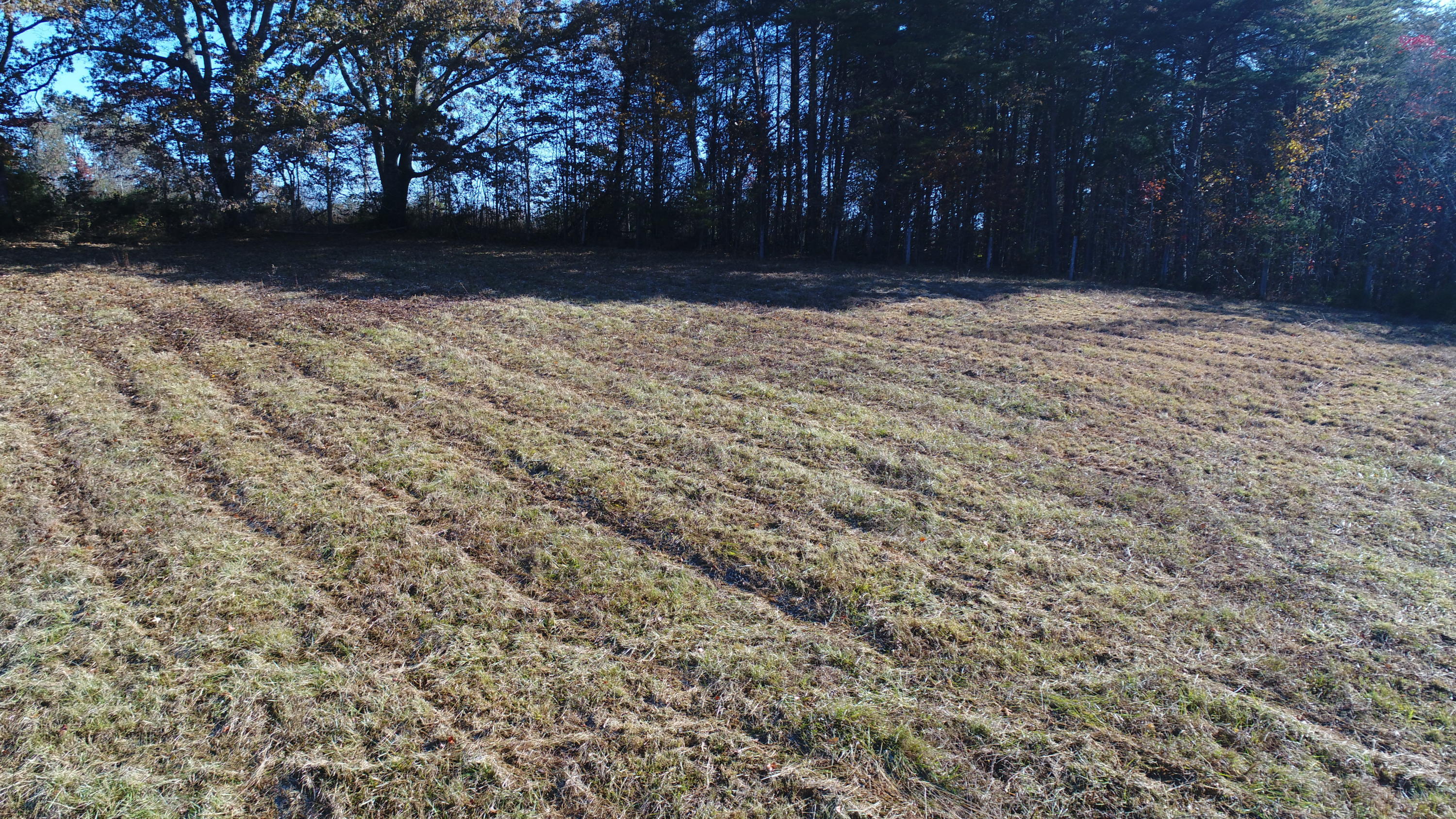 201 Goodhope Church Road Eubank, KY 42567 - Photo 19 of 28 DJI_0973