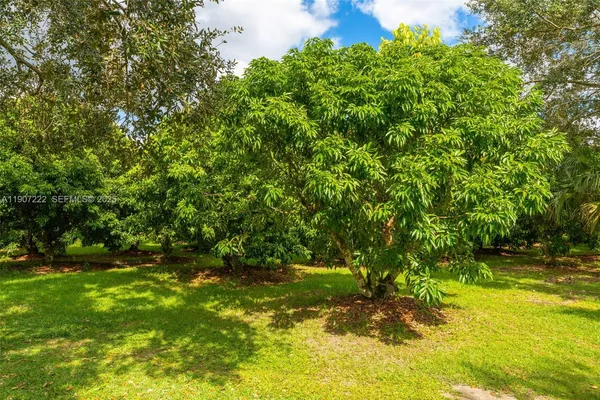 a view of outdoor space and yard