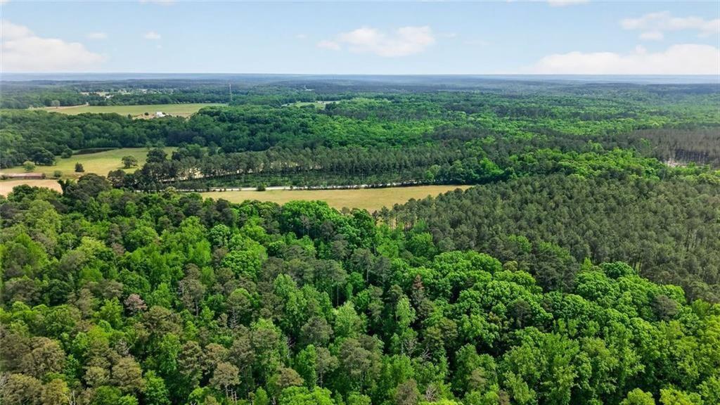 4802 Colham Ferry Road Watkinsville, GA 30677 - Photo 38 of 60