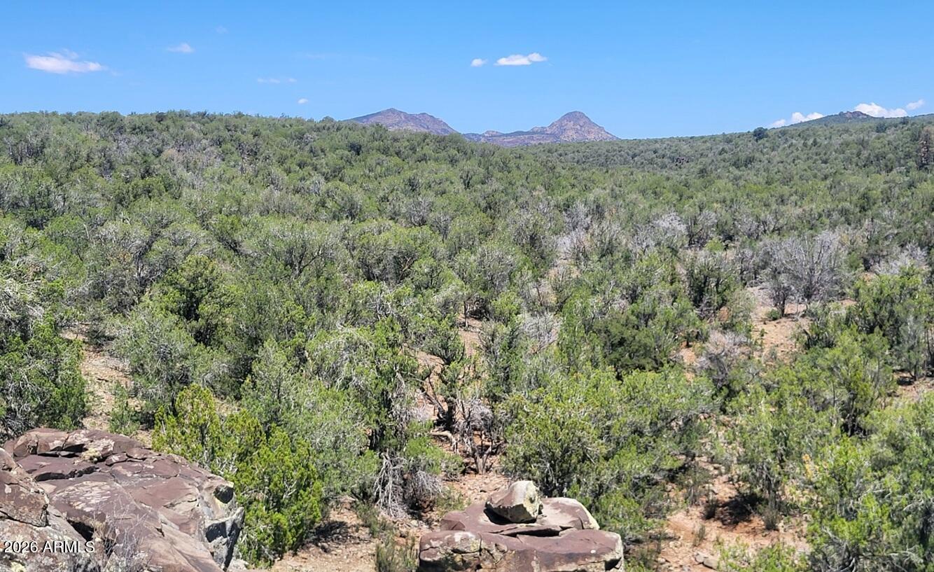 997 East Timberhill Road, Unit 997 Williams, AZ 86046 - Photo 4 of 22