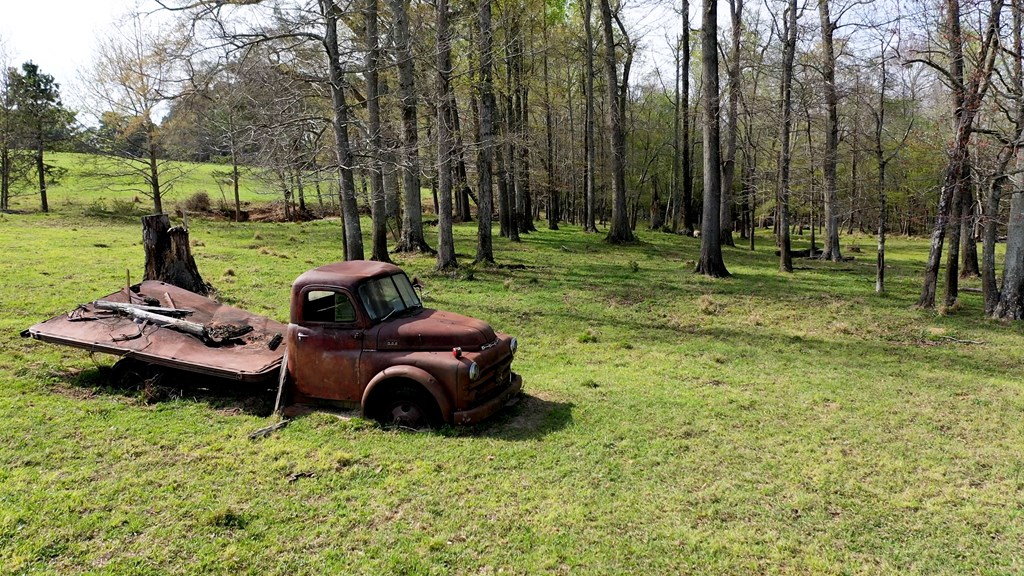 369 Bud Gary Road Clayton, AL 36016 - Photo 42 of 42