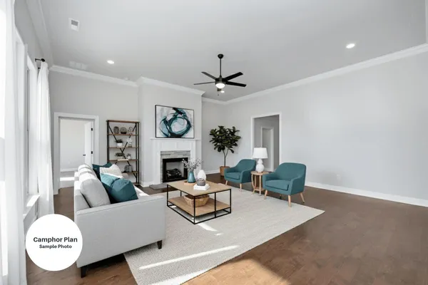 a living room with furniture a fireplace and a ceiling fan