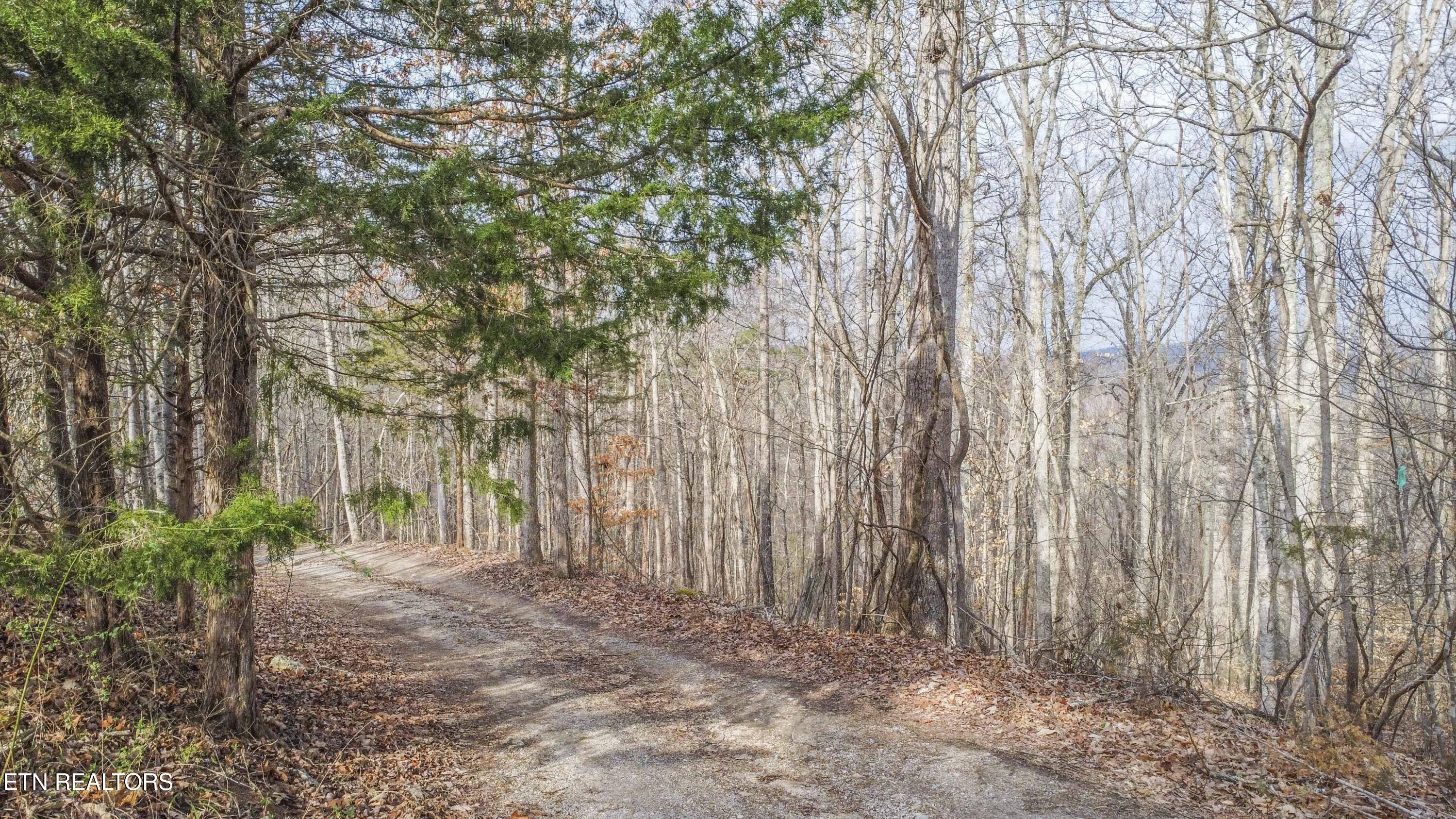 Meandering Circle Maynardville, TN 37807 - Photo 2 of 9 Public access road