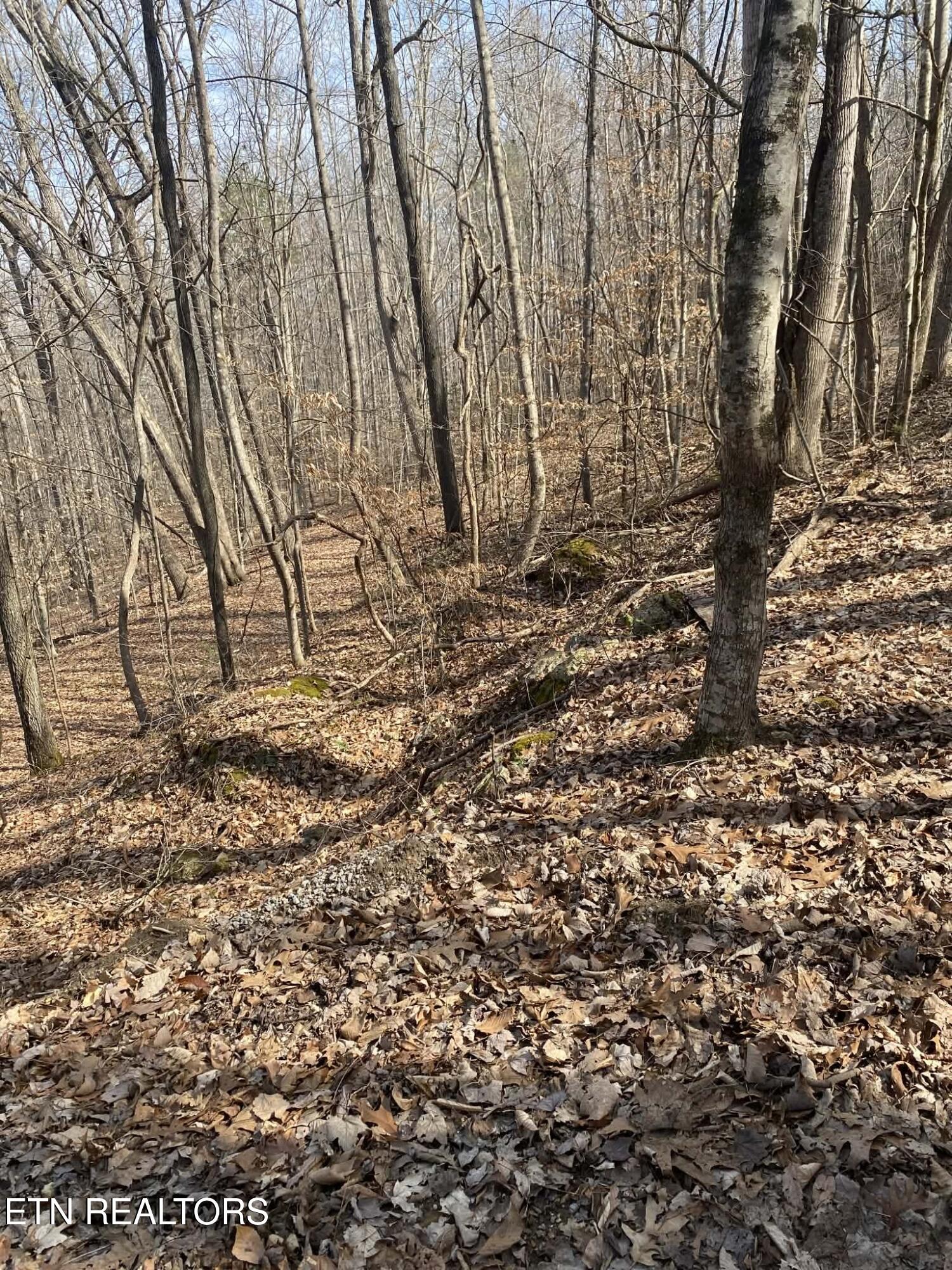 Meandering Circle Maynardville, TN 37807 - Photo 3 of 9 Lot 2 1