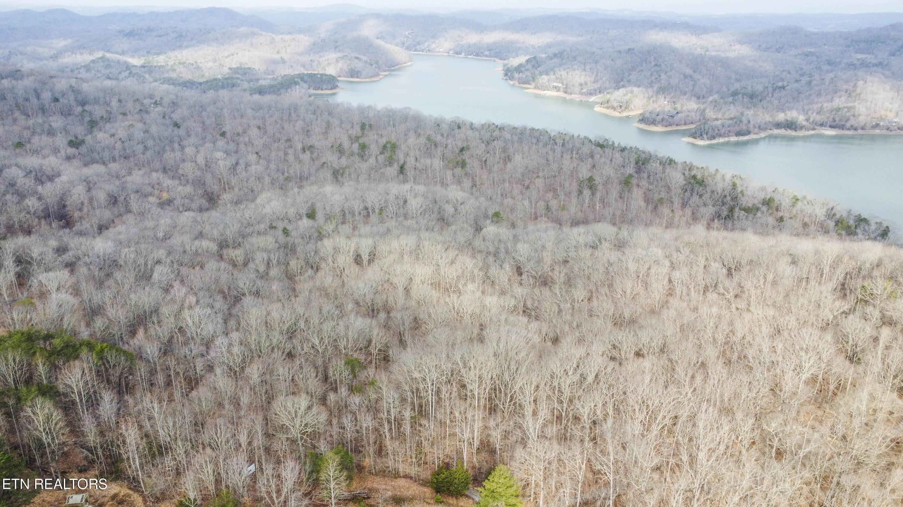 Meandering Circle Maynardville, TN 37807 - Photo 5 of 9 lot 1-1_1