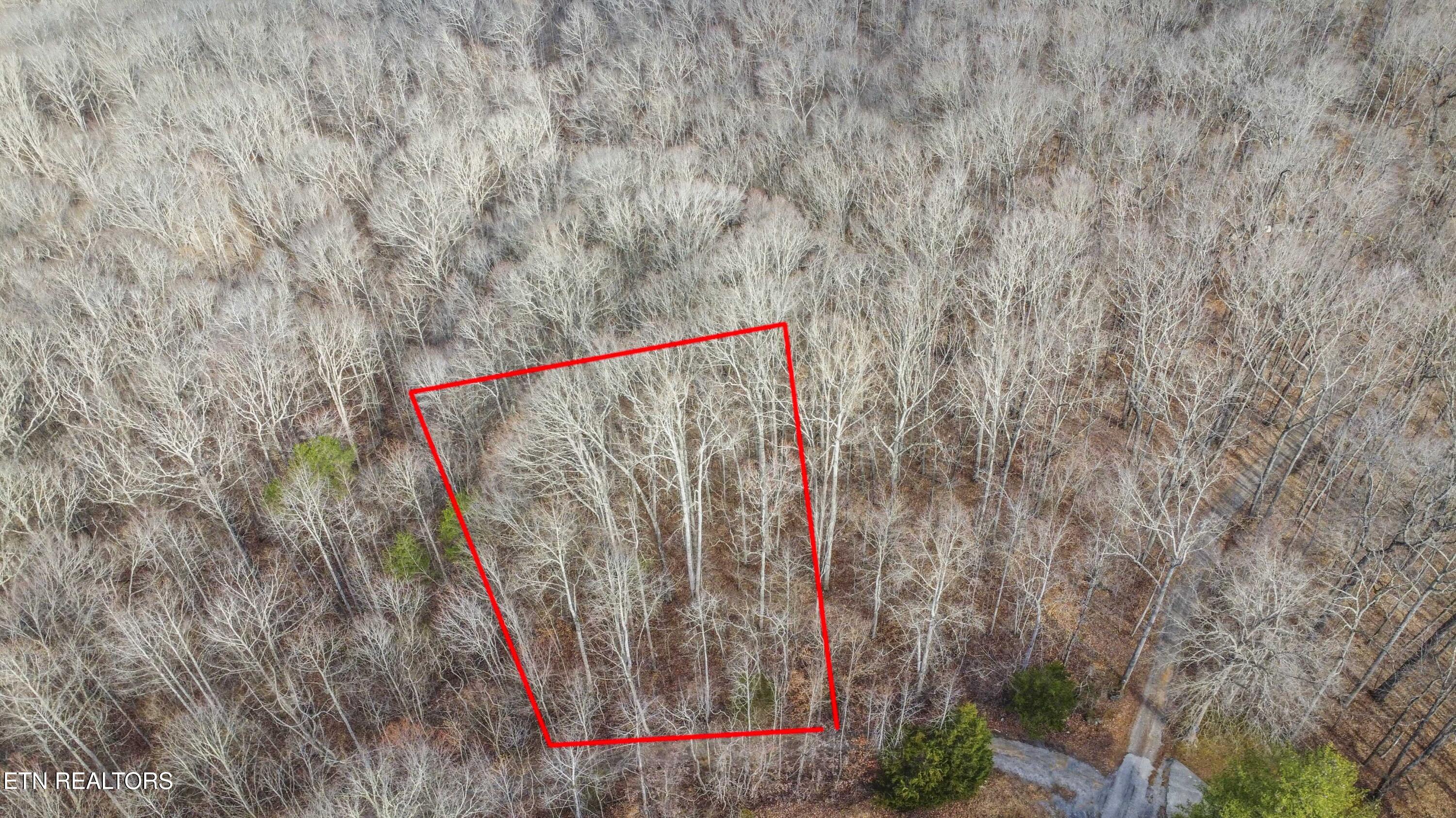 Meandering Circle Maynardville, TN 37807 - Photo 6 of 9 lot 1-5_1