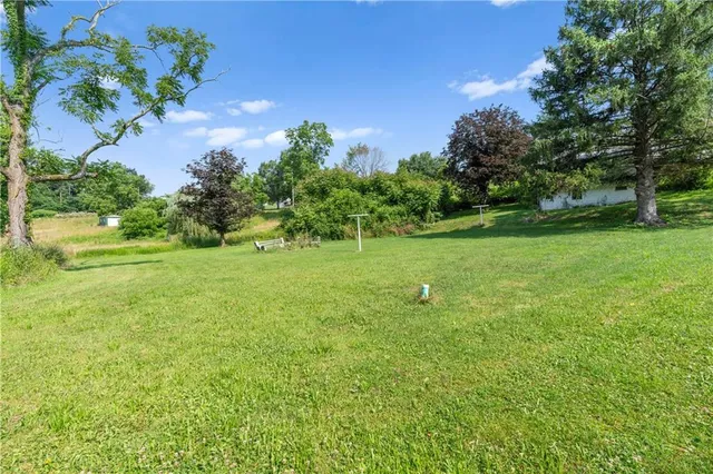 a view of a garden with a tree