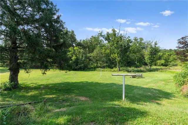 a view of a park with a tree