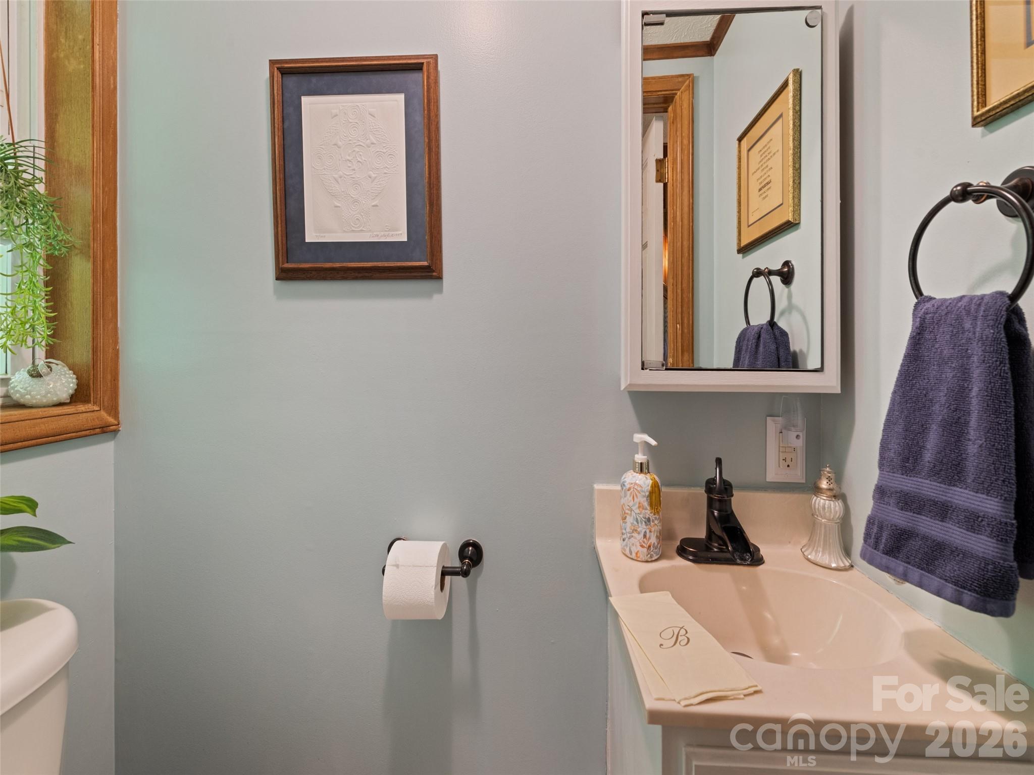 300 Kelley Springs Road Waynesville, NC 28786 - Photo 17 of 29