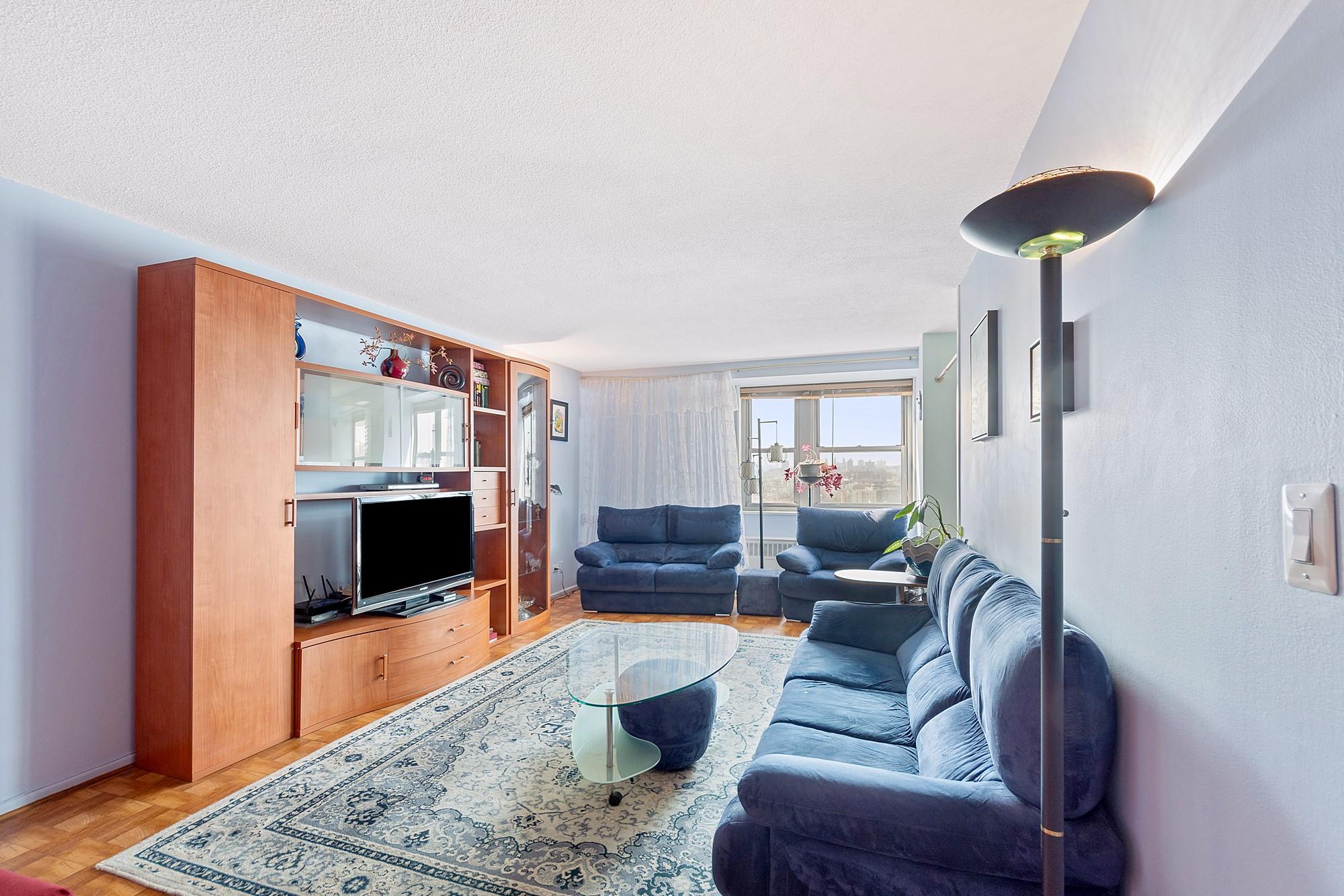 290 West 232nd Street, Unit 20E Bronx, NY 10463 - Photo 1 of 1 a living room with furniture and a flat screen tv