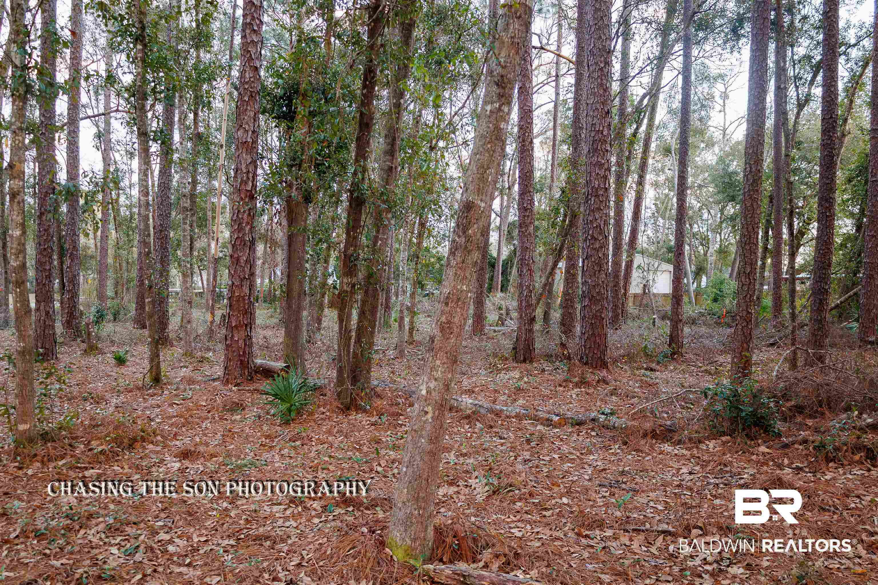 22622 Pineview Lane Foley, AL 36535 - Photo 1 of 11