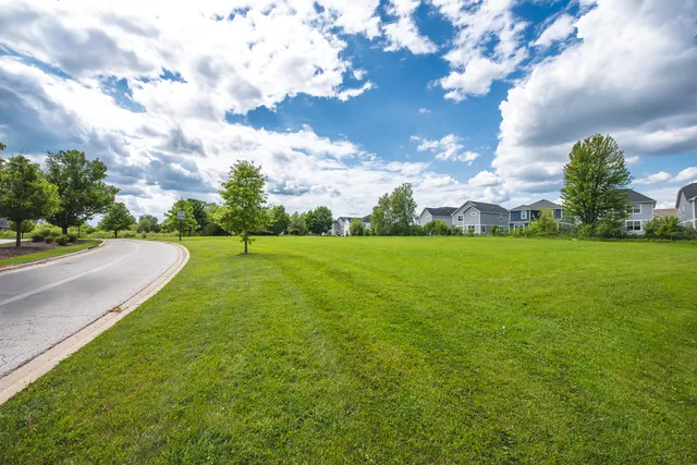 a view of a big yard with plants and large trees