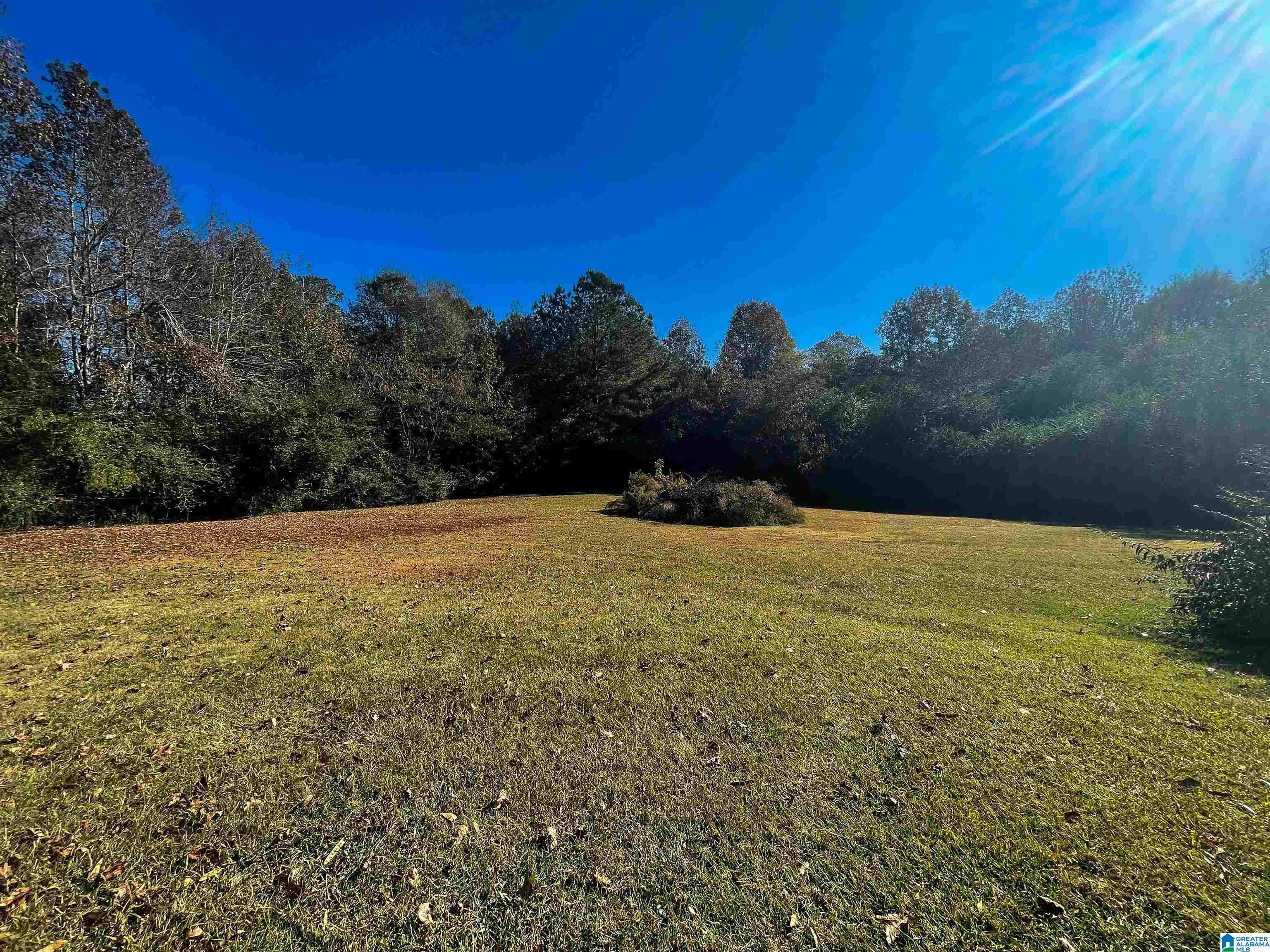 171 Alabaster Drive Winfield, AL 35594 - Photo 23 of 24