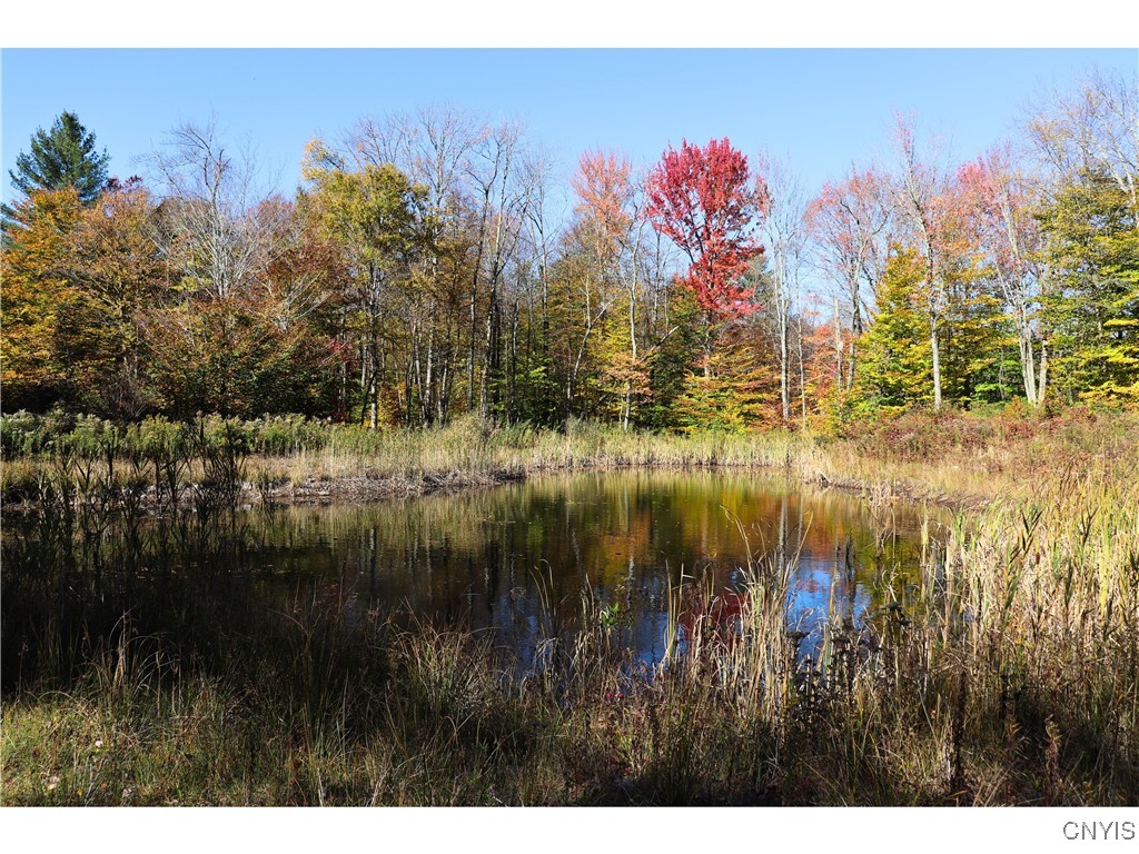 158 Fox Brook Road Altmar, NY 13302 - Photo 33 of 36 Private pond