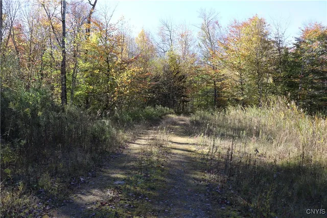 $105,000 | 158 Fox Brook Road, Altmar, NY 13302