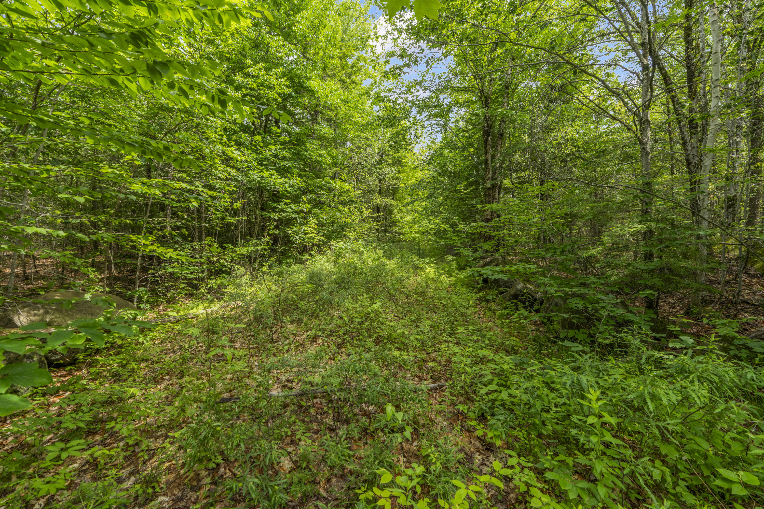 Lot17-30-1 Howland Hill Road Belgrade, ME 04917 - Photo 31 of 31