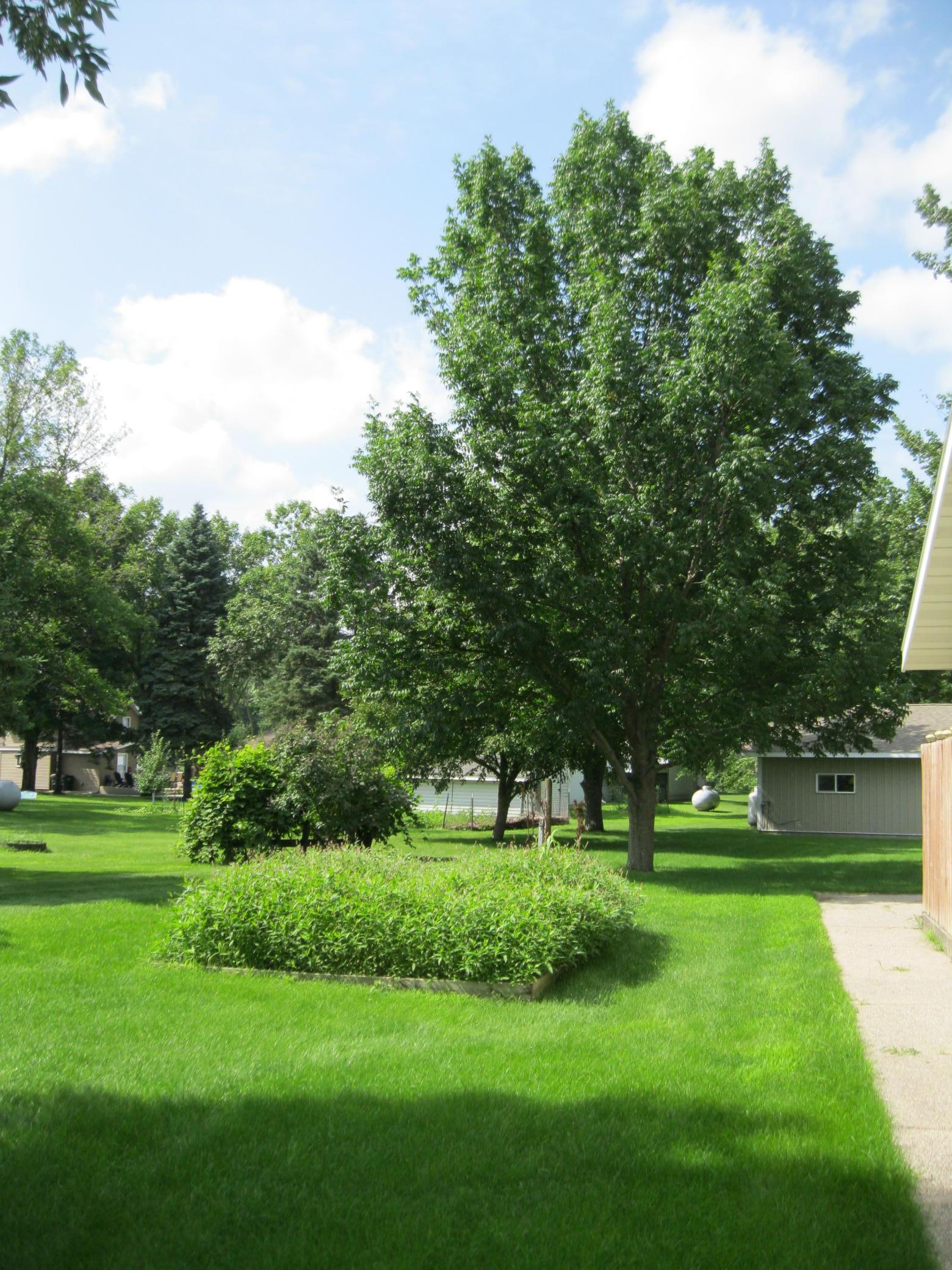 356 Circle Drive St. Martin, MN 56376 - Photo 12 of 32