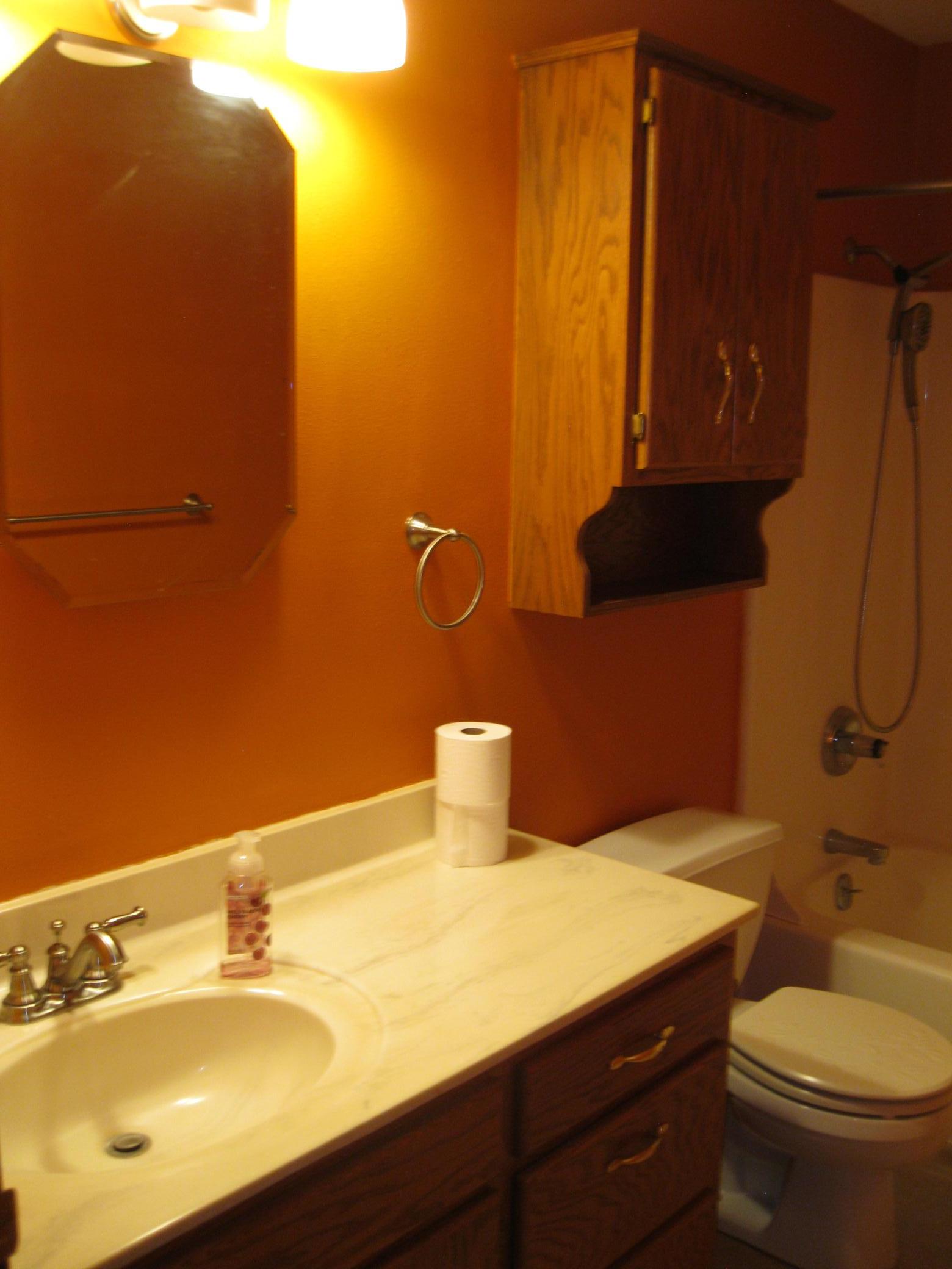 356 Circle Drive St. Martin, MN 56376 - Photo 30 of 32