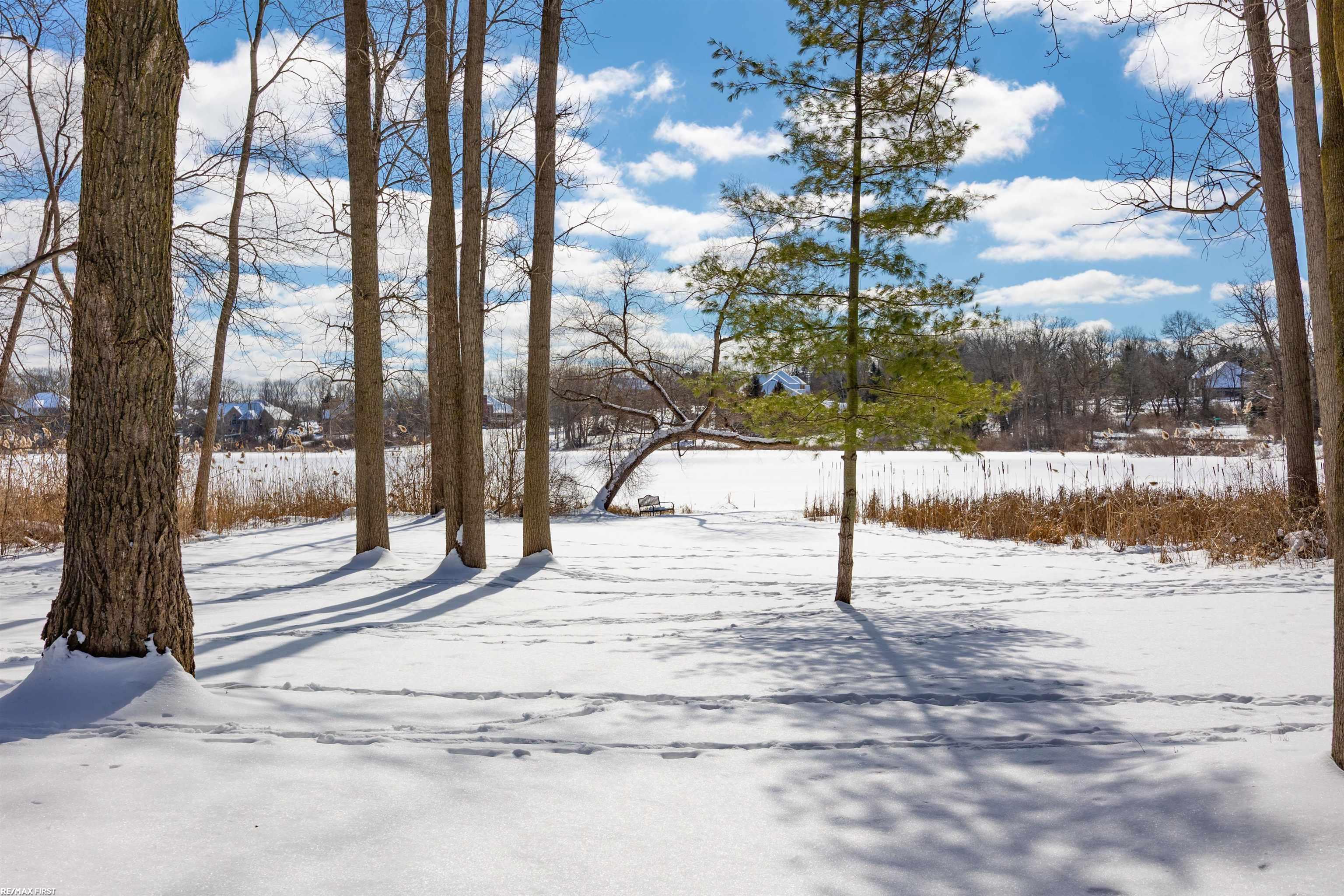 68544 Campground Road Washington, MI 48095 - Photo 45 of 54 50167352-1ef6fc79-ee5f-4646-8093-f53cee5049a0.JPG