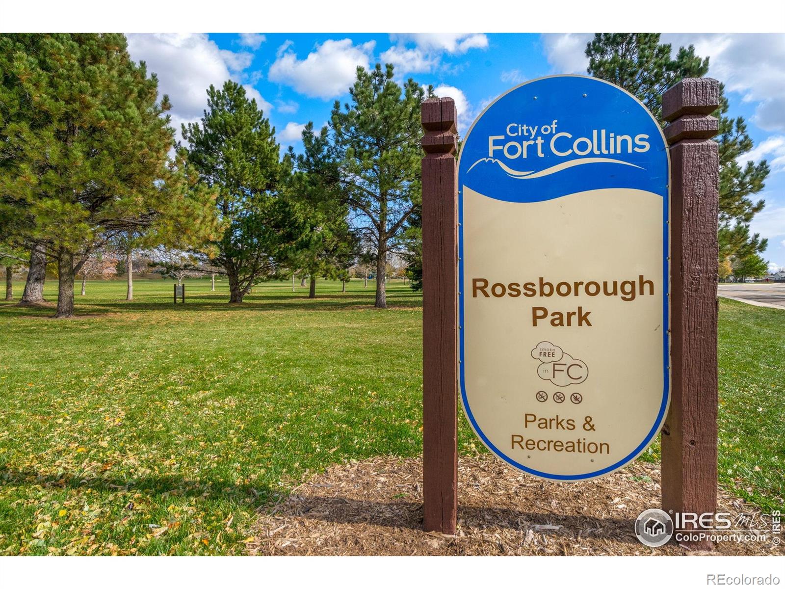 1531 West Swallow Road, Unit 25 Fort Collins, CO 80526 - Photo 38 of 39