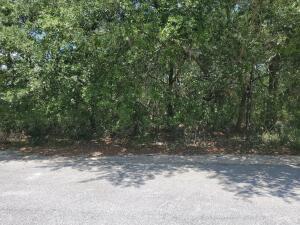 165 Clareon Dr Inlet Beach Inlet Beach, FL 32461 - Photo 1 of 1 a view of a yard with a tree