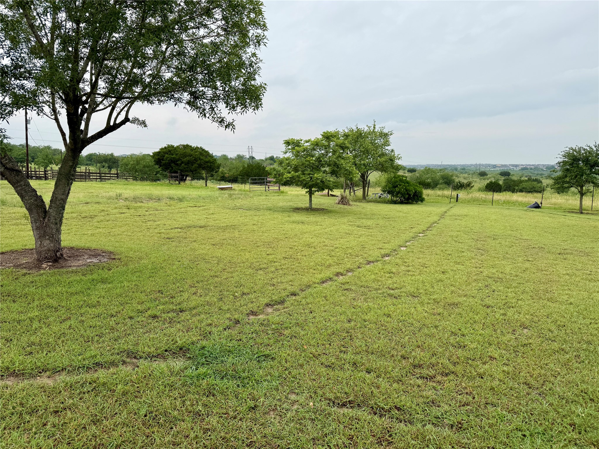 3075 FM 2001 Buda, TX 78610 - Photo 23 of 26 Open lot offers a peaceful backyard.