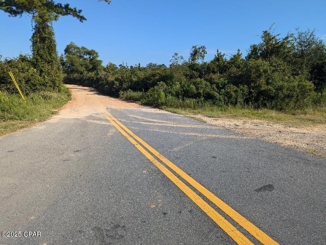 0 Hightower Road Vernon, FL 32462 - Photo 2 of 10