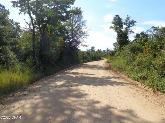 $3,506,410 | 0 Hightower Road, Vernon, FL 32462