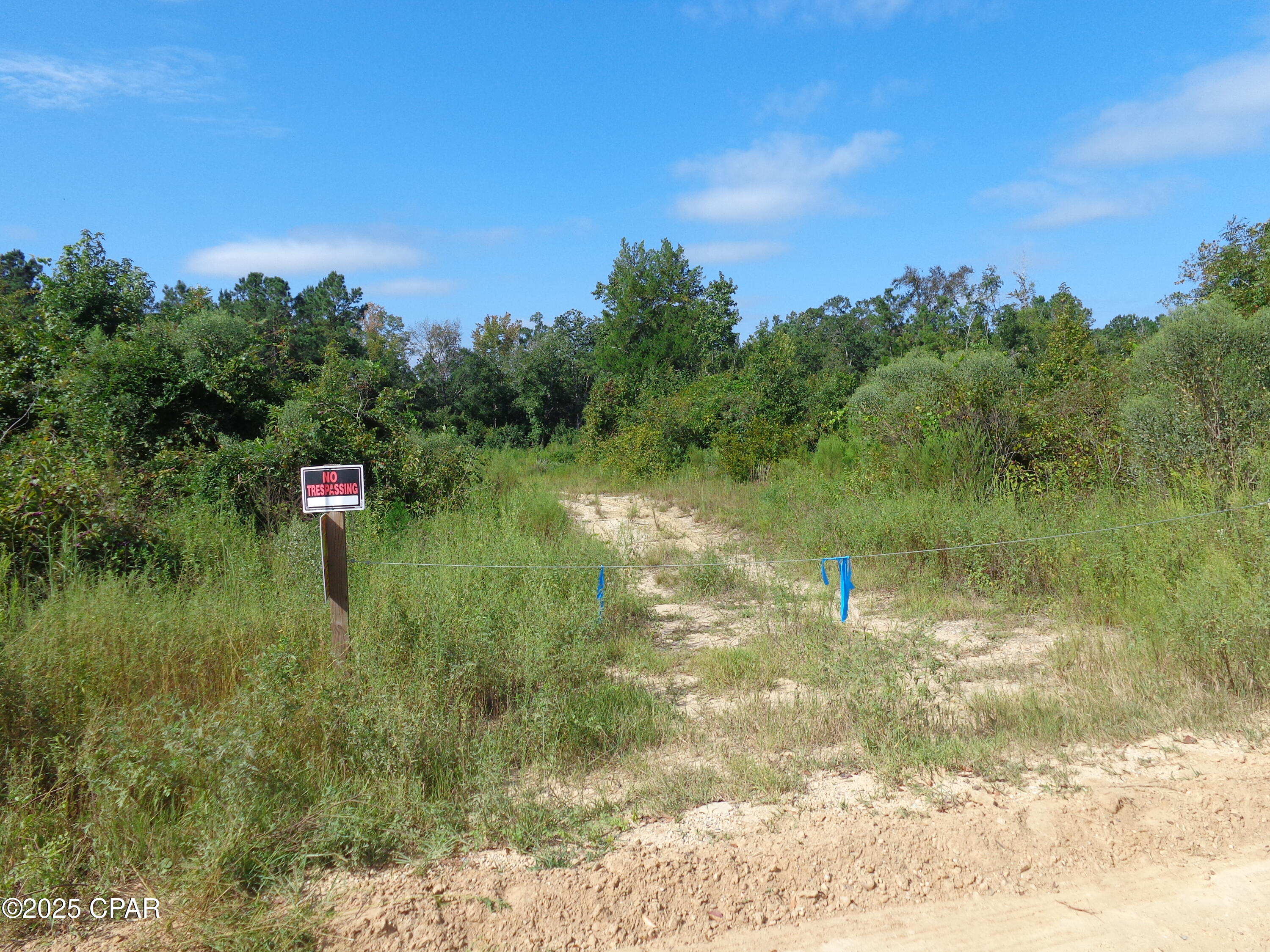 0 Hightower Road Vernon, FL 32462 - Photo 5 of 10