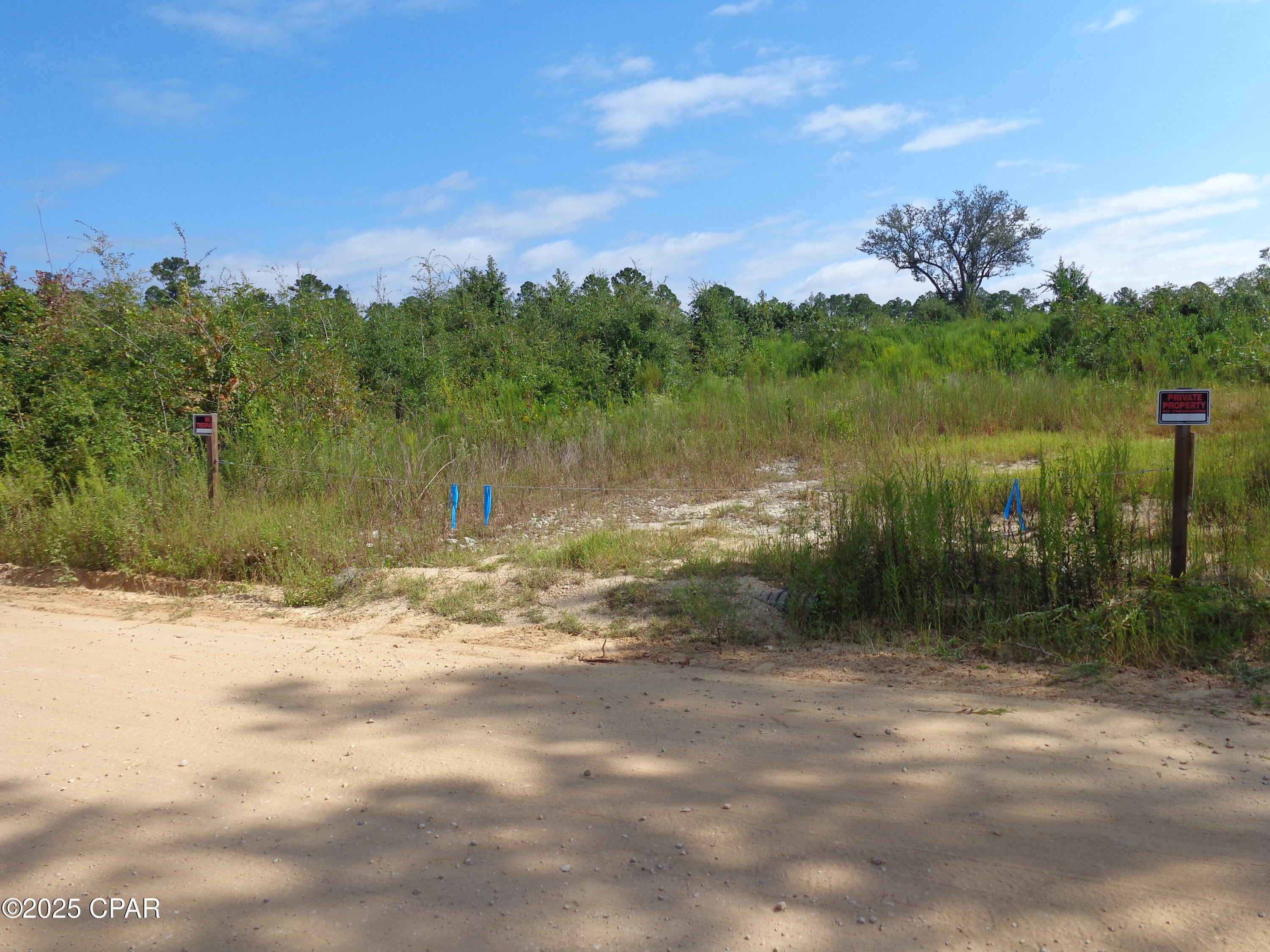 0 Hightower Road Vernon, FL 32462 - Photo 6 of 10