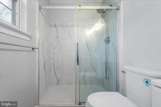 a bathroom with a shower and toilet