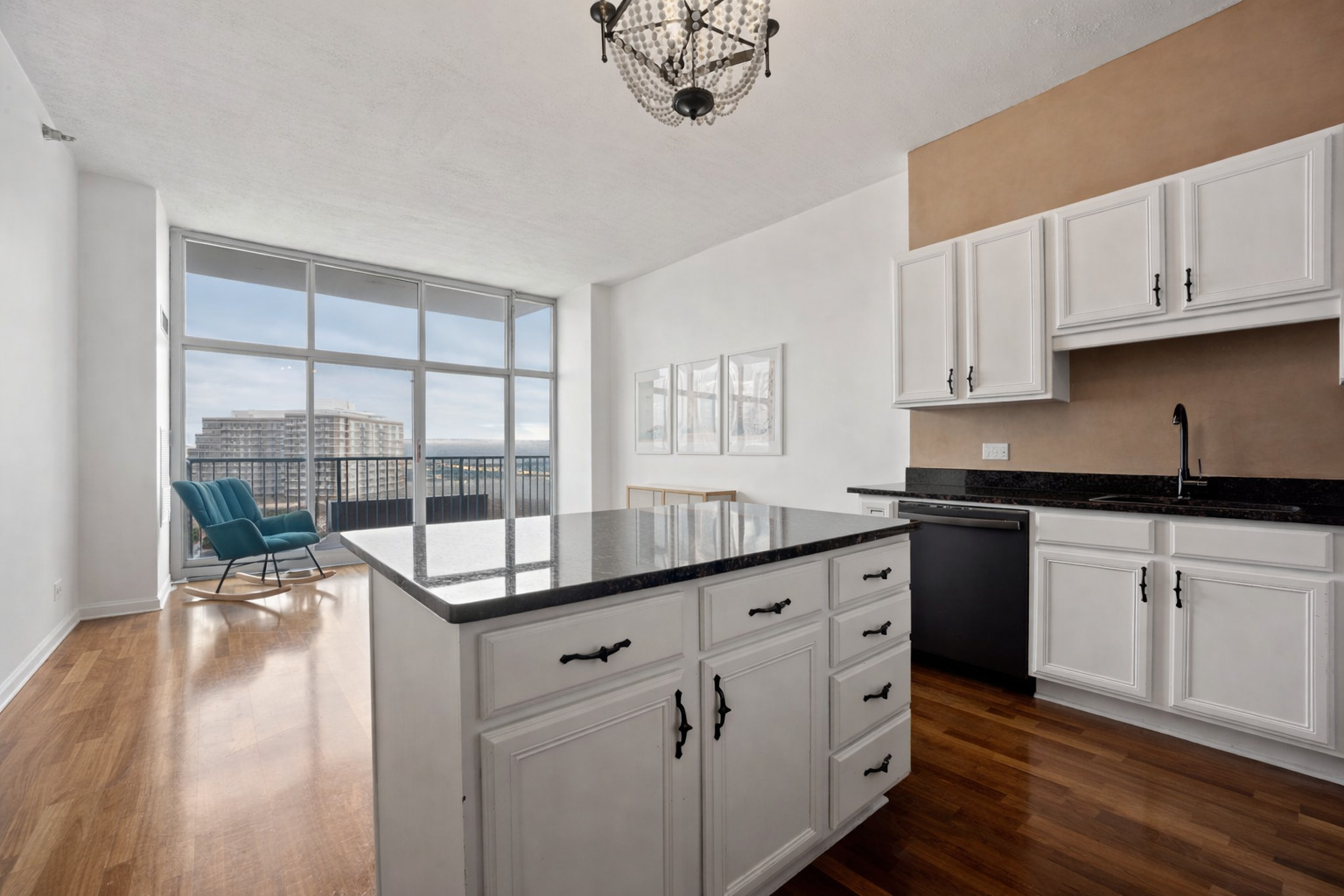 1600 South Indiana Avenue, Unit 907 Chicago, IL 60616 - Photo 3 of 17