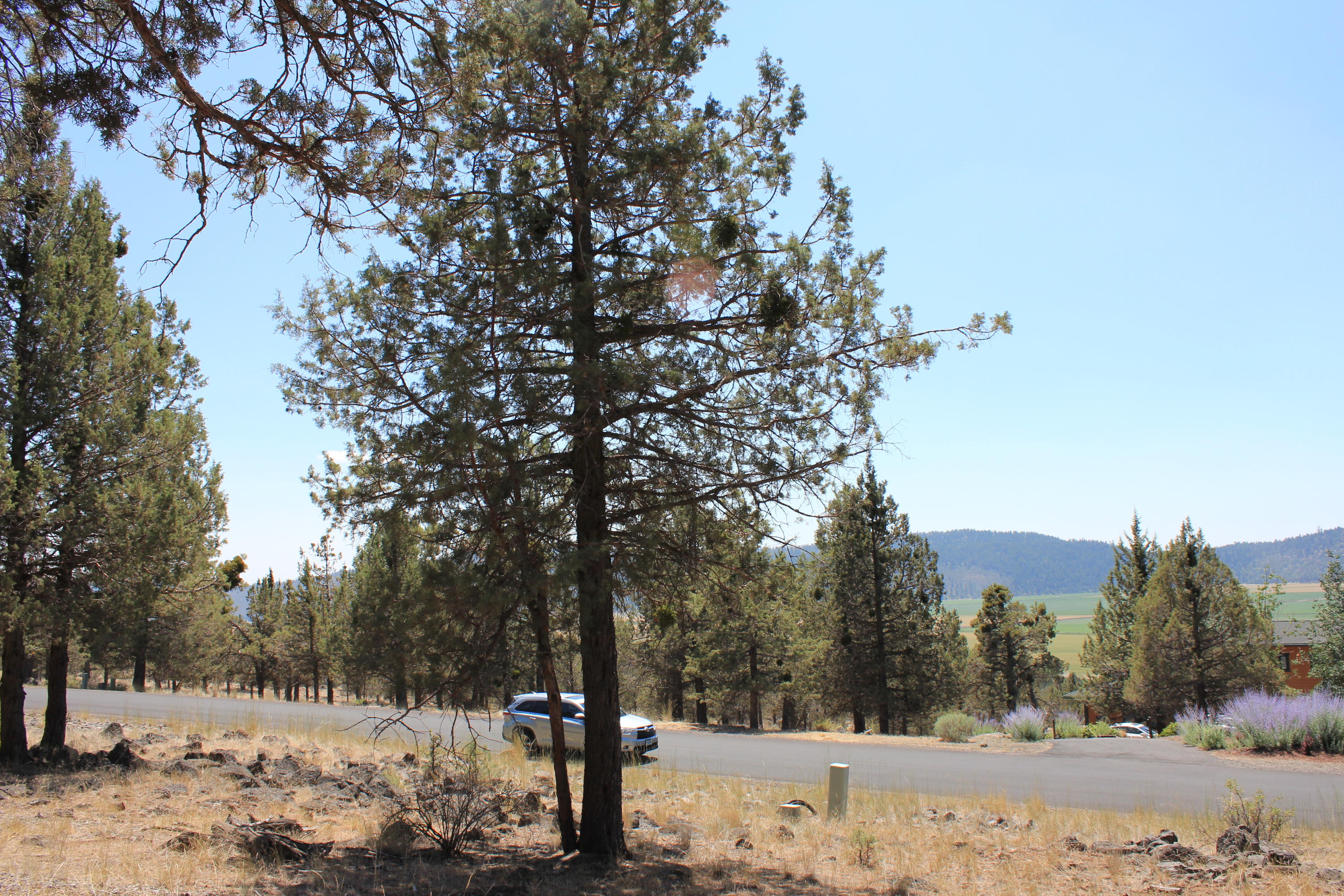 Coopers Hawk Road Klamath Falls, OR 97601 - Photo 4 of 14 IMG_8079
