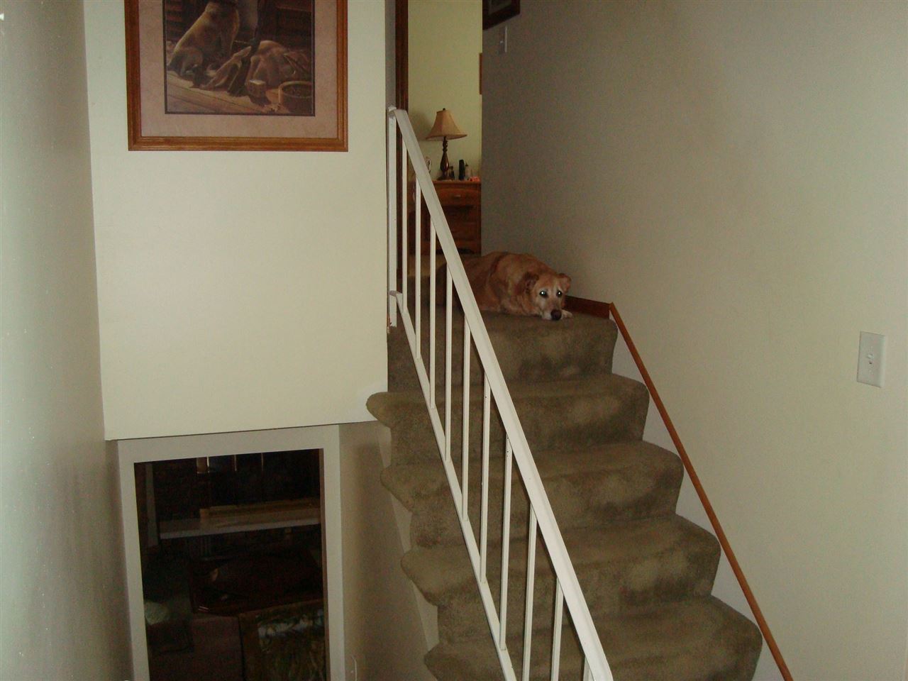 53166 Old Farm Road Elkhart, IN 46514 - Photo 5 of 24 Gallery Image 5