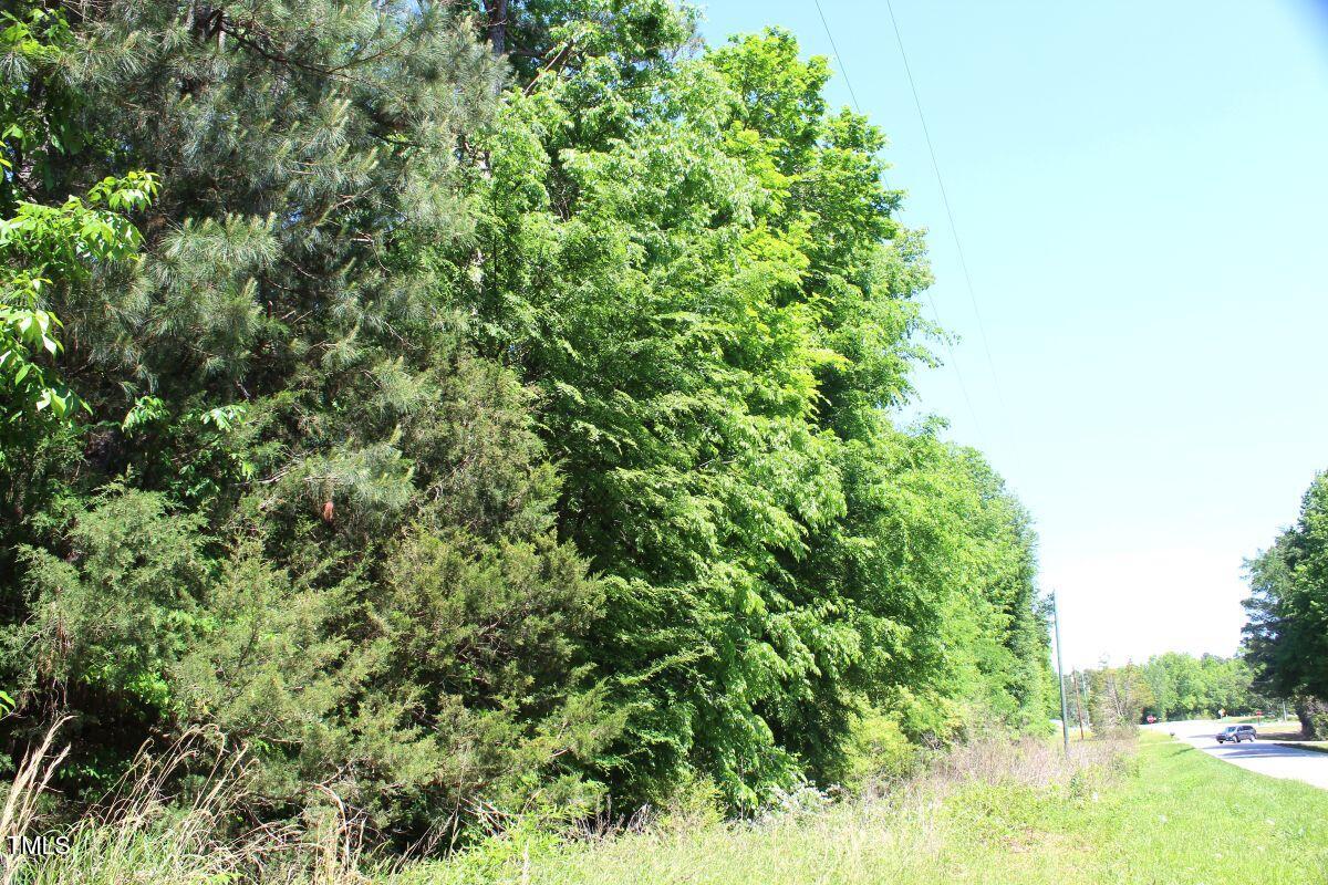 0 Sims Bridge Road Kittrell, NC 27544 - Photo 17 of 28 17