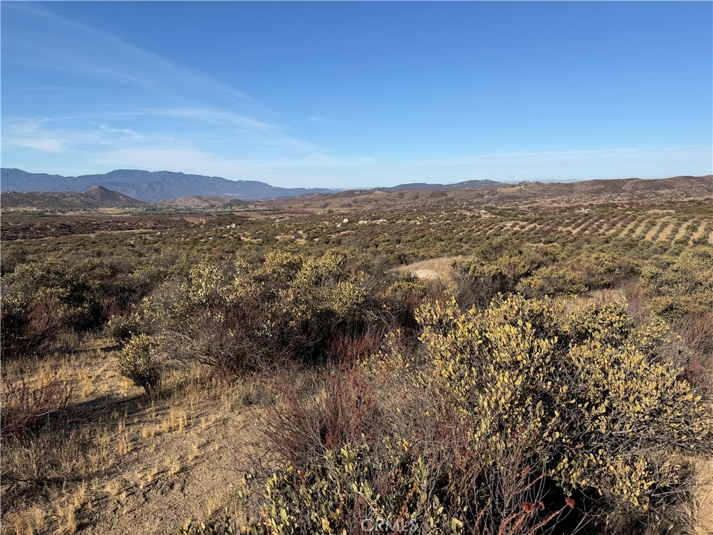 44530 Lewis Valley Road Hemet, CA 92544 - Photo 7 of 18 relatively flat land