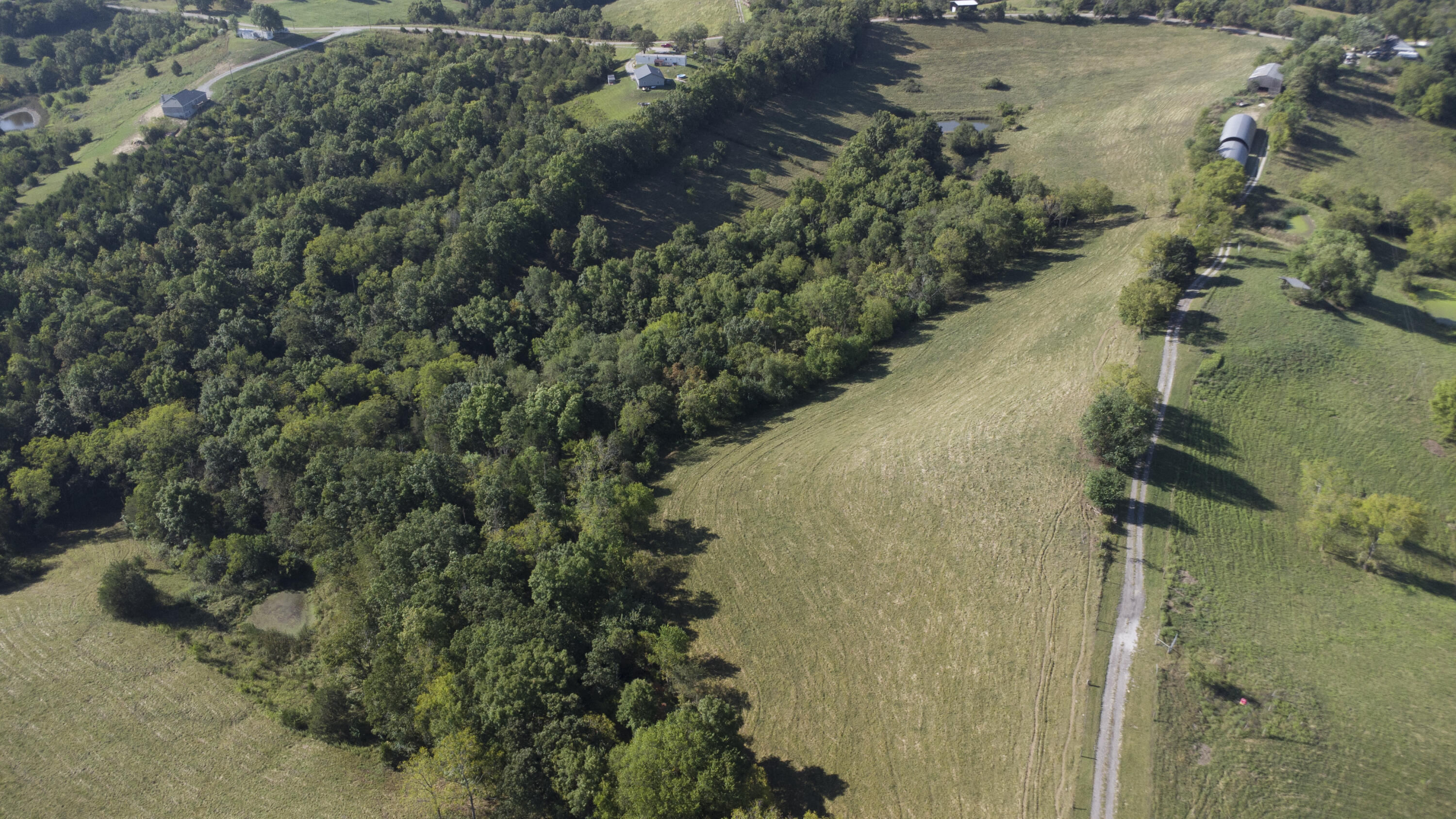 82-acres Keefer Road Corinth, KY 41010 - Photo 14 of 19 Gallery Image 14