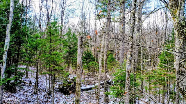 $280,000 | 5 Wingate Terrace, Unit LOTS 136 & 137, Haverhill, NH 03785