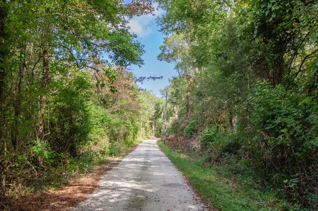 a view of a pathway both side of yard