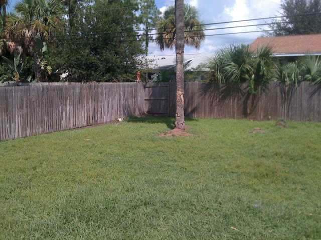 1251 Southwest Porter Road Port St. Lucie, FL 34953 - Photo 9 of 9 Additional Photo