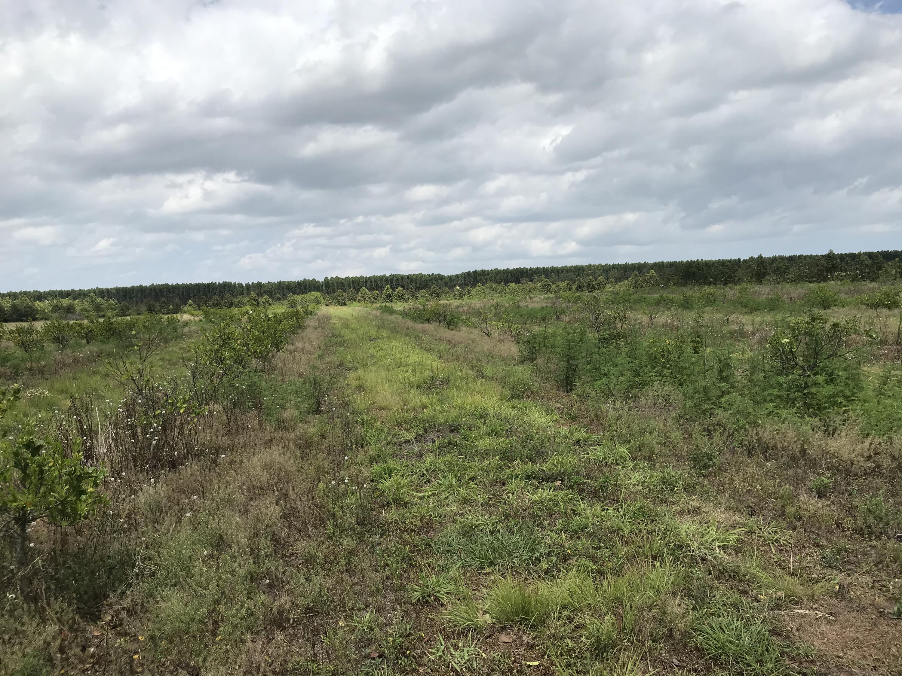 Carlton-adams Carlton Adams Road Fort Pierce, FL 34945 - Photo 10 of 20 FA95EA28-D0D1-4F35-A8E4-370B978AB712