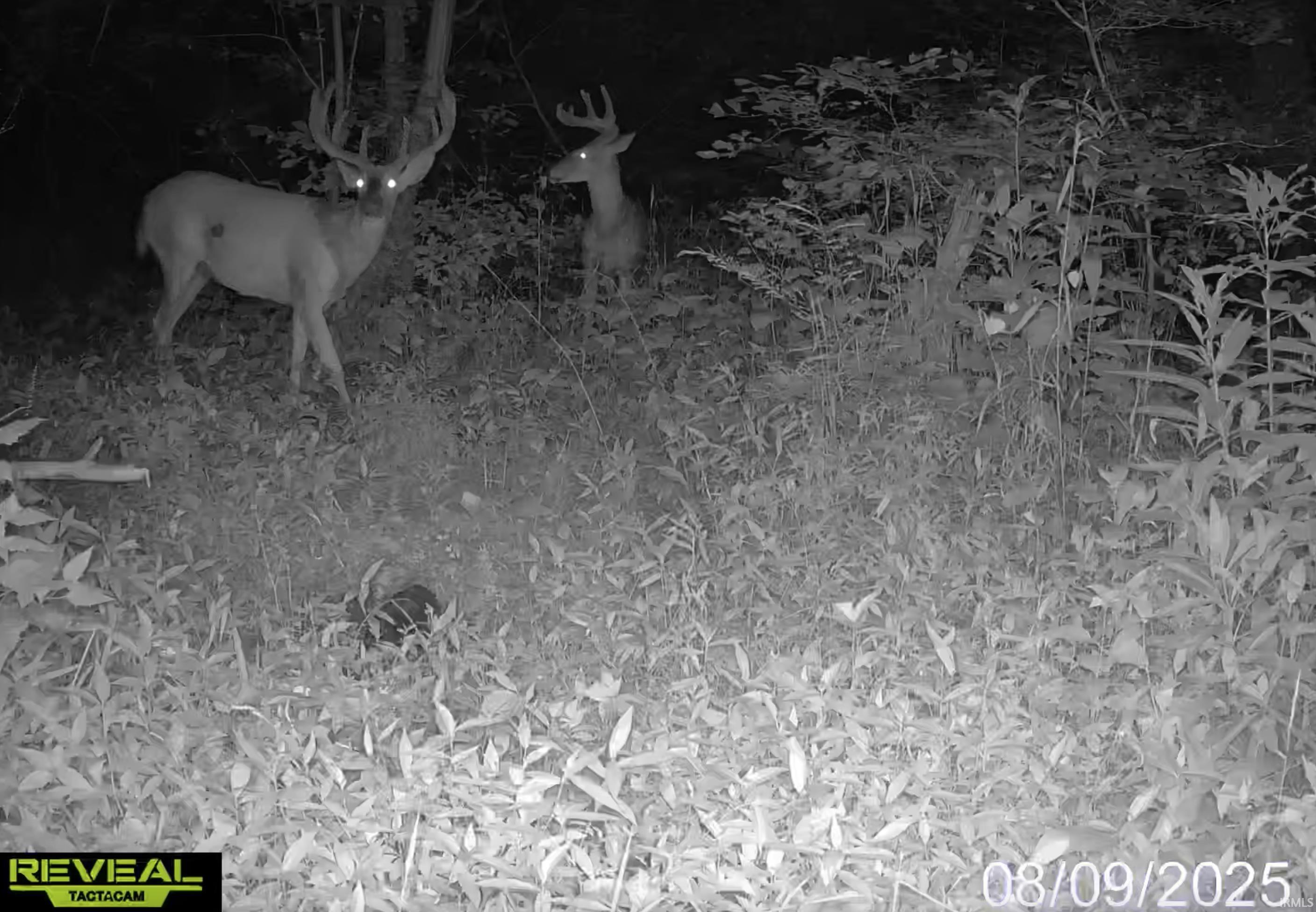 0 North Portersville Road Jasper, IN 47546 - Photo 16 of 23 Gallery Image 16