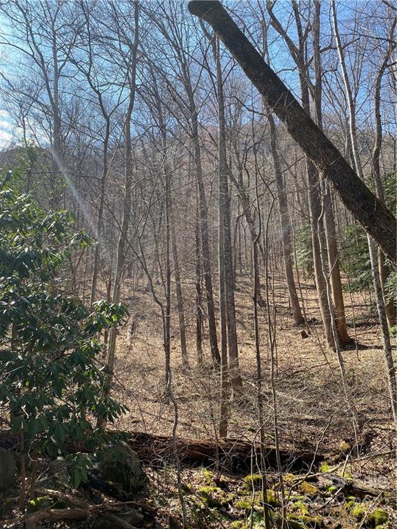 343 Bolt Road, Unit 343 Lake Lure, NC 28746 - Photo 4 of 15 Gallery Image 4
