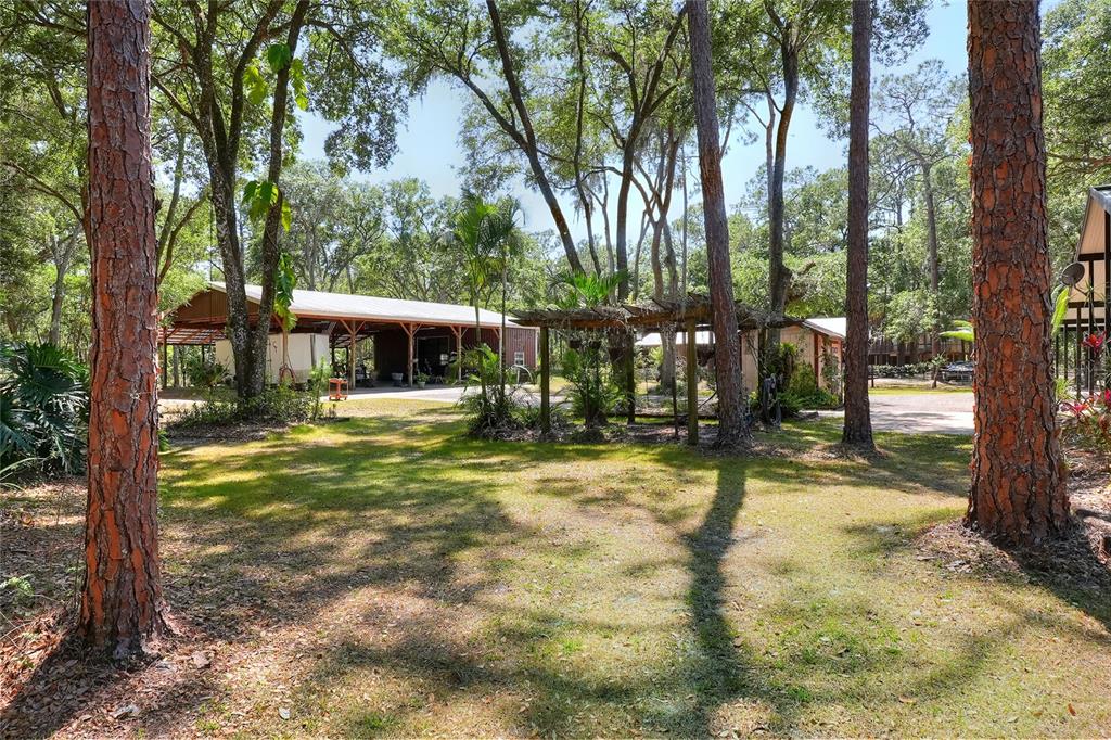 4846 Knights Station Road Lakeland, FL 33810 - Photo 44 of 49 a view of a house with backyard and a tree